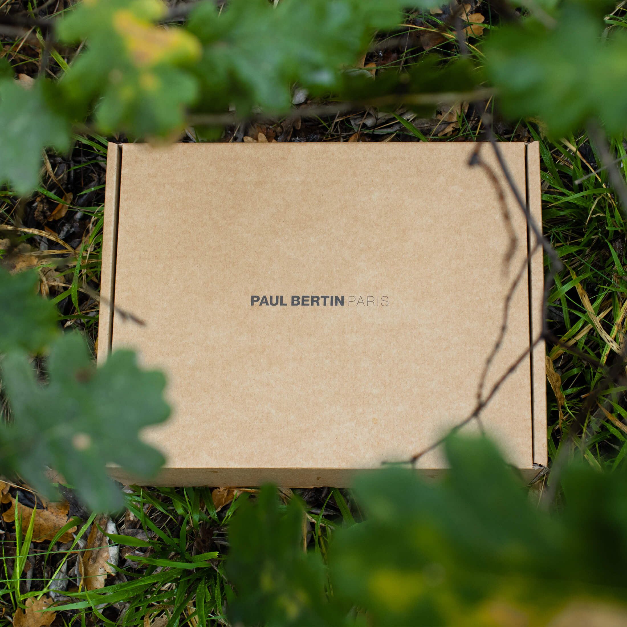 un carton recyclé de Paul Bertin Paris en foret